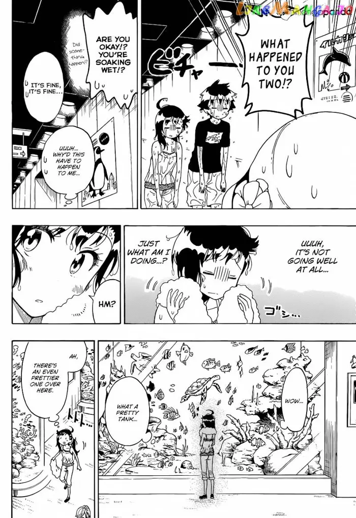 Nisekoi Chapter 110 image 13_optimized